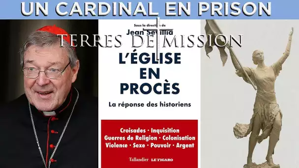 Un cardinal en prison - Terres de Mission n°144 - TVL