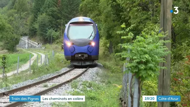 Nice : passagers et syndicats montent au créneau pour défendre la ligne du train des Pignes