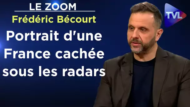 Un roman sur la Davocratie post-covid - Le Zoom - Frédéric Bécourt - TVL