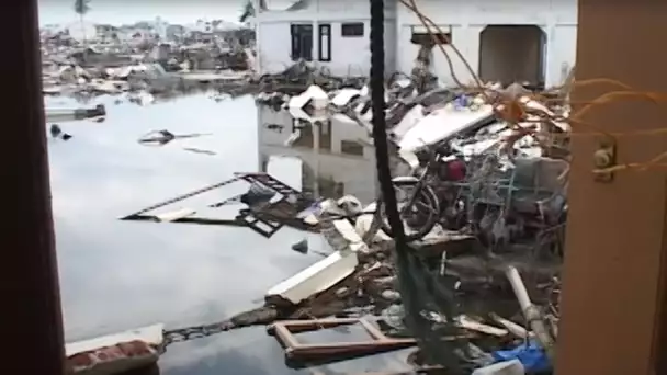Tsunami : le Business des ONG - Reportage