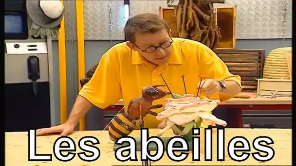 Comment l'abeille butine-t-elle? - C'est pas sorcier