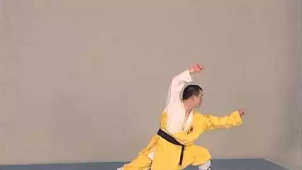 Shaolin - Apprendre les mouvements