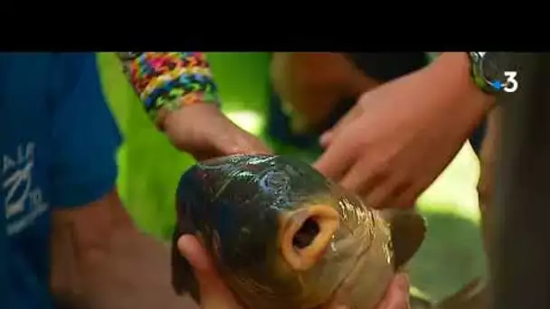 Soing (70) : 200 scolaires font l&#039;apprentissage de la pêche