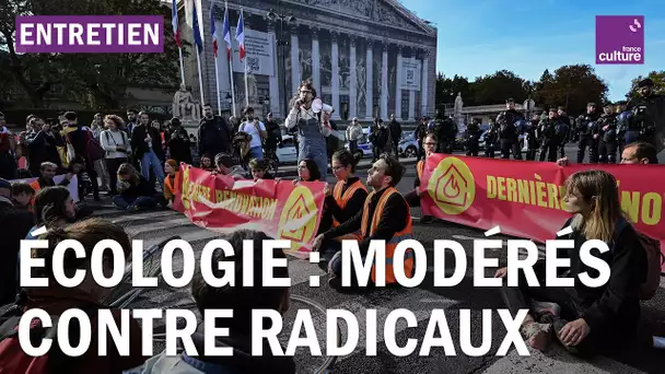 De l’activisme vert à l’écologie politique : l’équation impossible ?