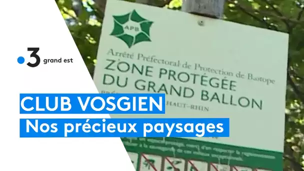Le Club vosgien a pour mission de protéger l'environnement