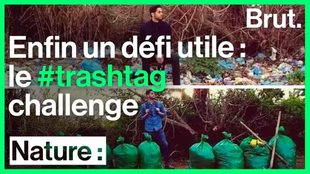 Le #trashtag challenge : quand les réseaux sociaux se mobilisent pour l&#039;environnement