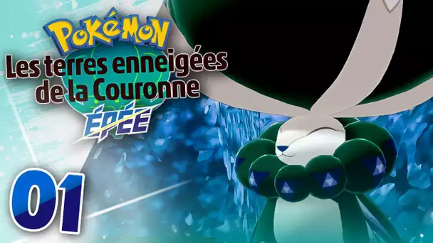 POKEMON ÉPEE - DLC 2 : Bienvenue à Couronneige ! #01 ⚔️ - Let's Play