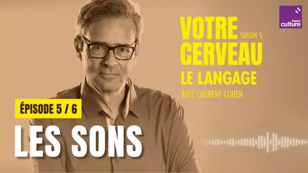 Les sons du langage (5/6) | Votre cerveau, saison 5