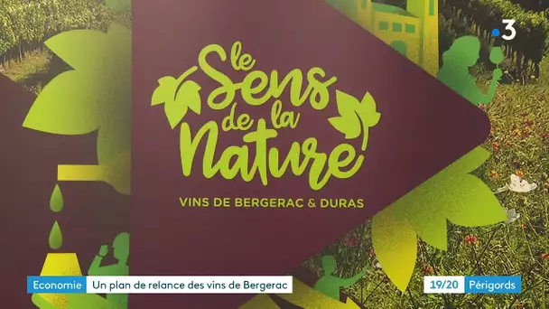 Bergerac : un plan de relance pour le vignoble