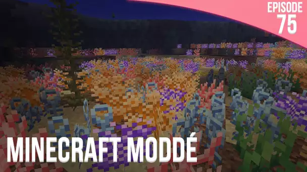 Coraux sous marins ! | Minecraft Moddé S2 | Episode 75