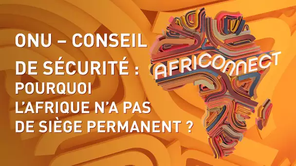 🌍 AFRICONNECT 🌍 ONU – CONSEIL DE SÉCURITÉ : POURQUOI L’AFRIQUE N’A-T-ELLE PAS DE SIÈGE PERMANENT ?