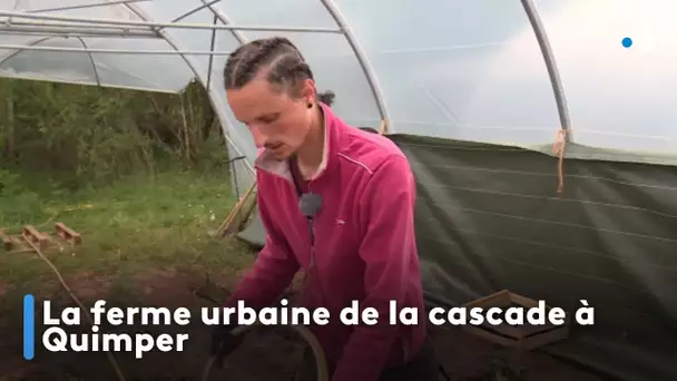 La ferme urbaine de la cascade à Quimper