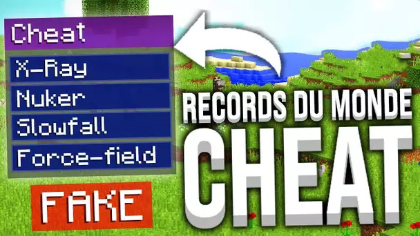 LES RECORDS DU MONDE MINECRAFT SONT FAKE...