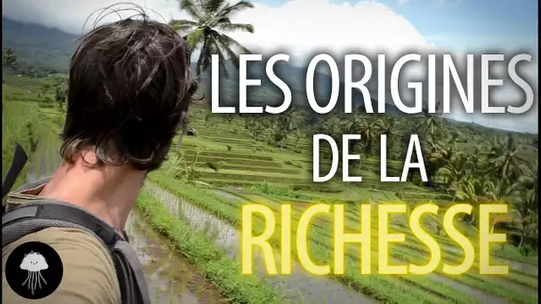 Les origines de la richesse - Documentaire - DBY #23