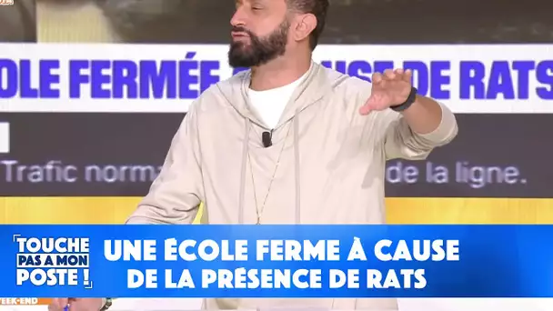 Une école ferme à cause de la présence de rats !