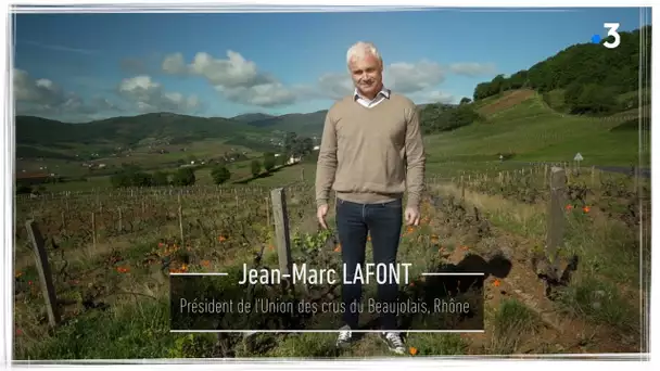Je tiens à ma terre : Jean-Marc Lafont, viticulteur dans le Beaujolais