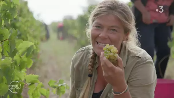 ENVIE DEHORS ! Anjou : au cœur des vendanges [extrait]