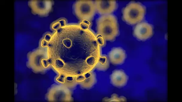 Pandémie : Omicron moins dangereux que le variant Delta ?