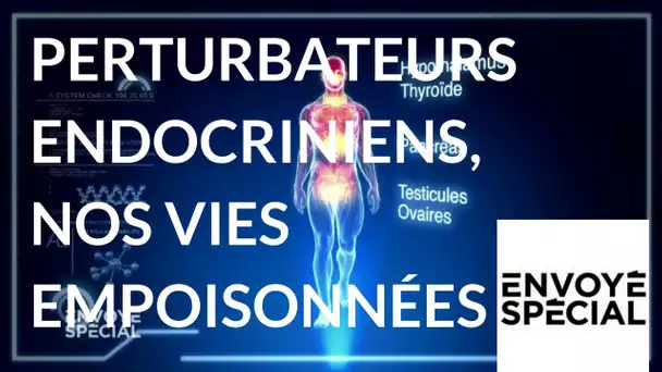 Envoyé spécial. Perturbateurs endocriniens, nos vies empoisonnées - 3 mai 2018 (France 2)
