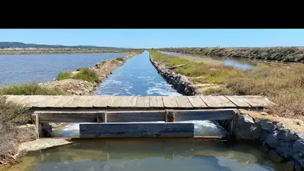 C'est l'été ! Découvrez les salins de Gruissan, situés à 20 minutes Narbonne