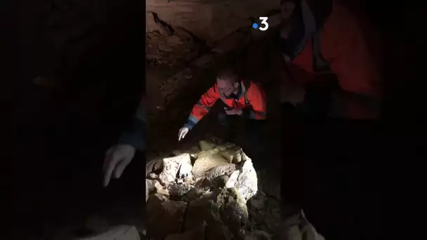 On vous fait découvrir la face cachée des grottes de Bèze