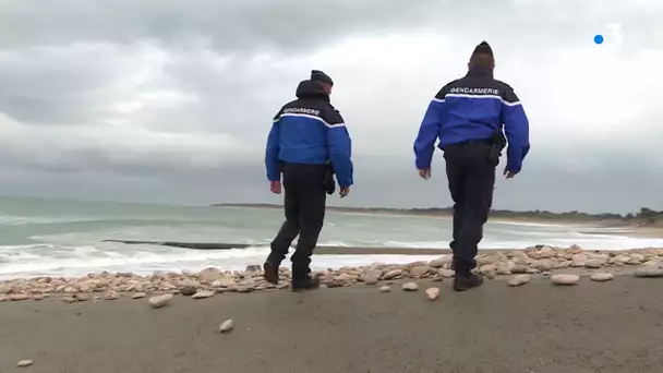 23 kg de drogue échouées sur la côte basque dont une dizaine à Anglet
