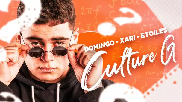 DOMINGO, XARI & ETOILES PASSENT LE TEST DE KCULTURE DE LA KCORP