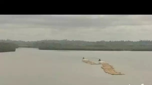 Gabon : transport de grumes sur le fleuve