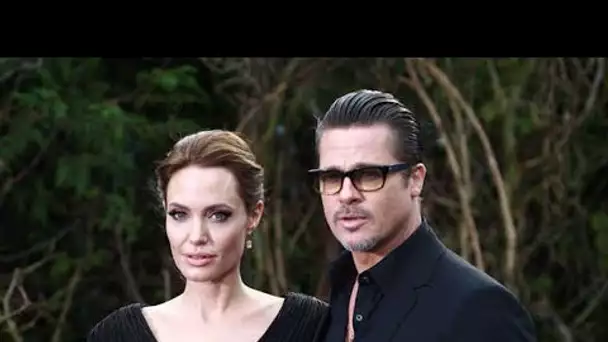 Angelina Jolie entreprend tout pour anéantir Brad Pitt, manipulation secrète avec le FBI