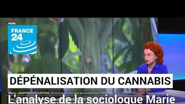 Marie Jauffret-Roustide : "Un des objectifs de la légalisation du cannabis est la sécurité publique"