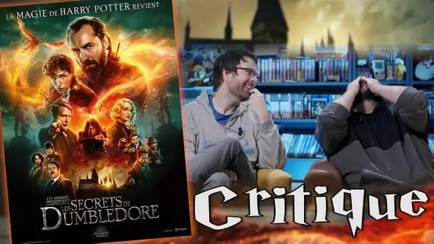 CRITIQUE: Les Secrets de Dumbledore, Les Animaux Fantastiques 3 (avec et sans spoilers)