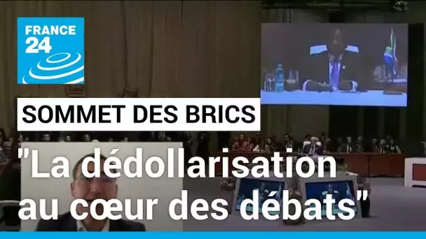 15ème Sommet des BRICS à Johannesburg : "la dédollarisation au cœur des débats" • FRANCE 24