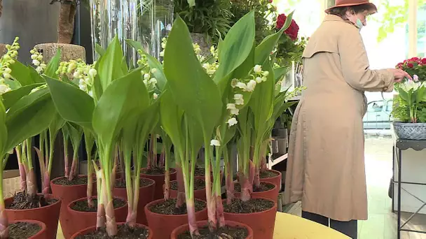 Montpellier : le muguet a toujours la côte