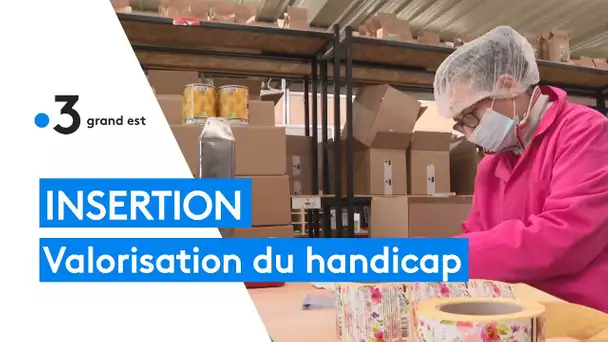 Insertion : valoriser le handicap en entreprise