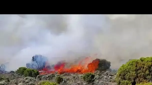 [No Comment] Tanzanie : reprise de feux de forêt sur le mont Kilimandjaro