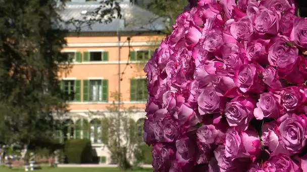 Syam : 1er festival d'art floral à la Villa Palladienne