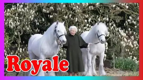 Rayonnante reine dans son élément al0rs qu'elle pose avec des poneys bien-aimés