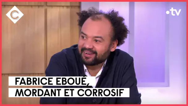Fabrice Eboué : politiquement incorrect - C à Vous - 17/01/2023
