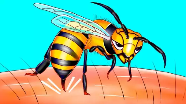 Voici pourquoi les abeilles ne peuvent piquer qu’une seule fois