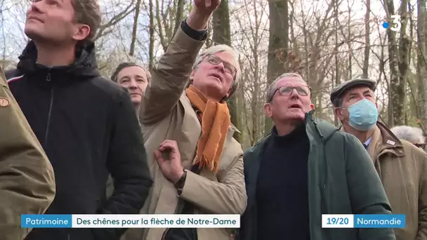 Des experts en repérage en forêt de Conches pour reconstruire la flèche de Notre-Dame de Paris