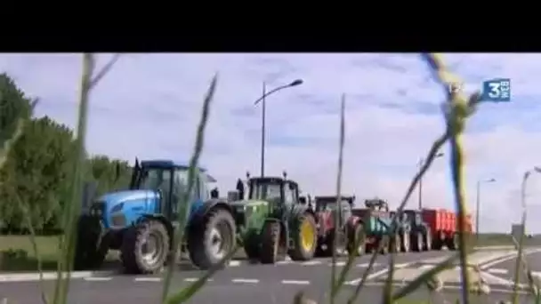 VIDEO - du fumier et des poulets déversés par les agriculteurs au Havre