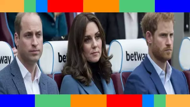 👑  Le prince Harry saboteur ? Sa dernière interview a fait passer William et Kate au second plan