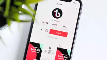 TikTok : Un étudiant est seul sur un vol de Londres à Orlando !