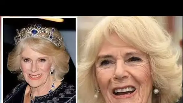 Camilla "devrait créer son propre héritage" lors du couronnement et "créer quelque chose d'original"