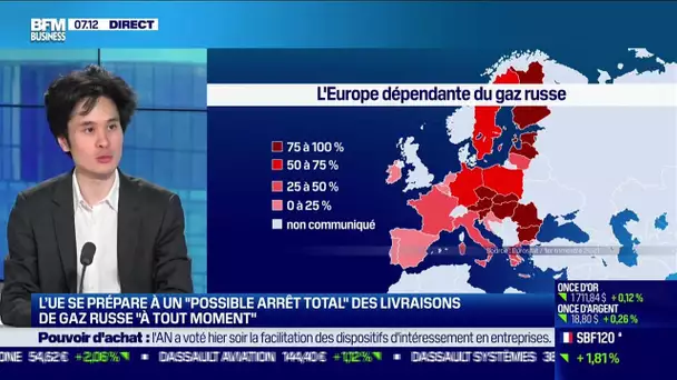 Phuc-Vinh Nguyen (Institut Jacques Delors) : Un "possible arrêt total" des livraisons de gaz russe