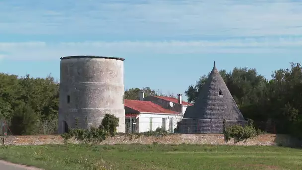 Le moulin de La Brée cherche son meunier sur l'île d'Oléron