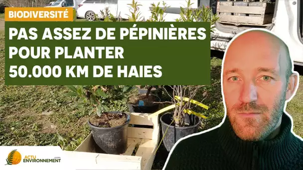 Comment planter 50 000 Km de haies en France ?