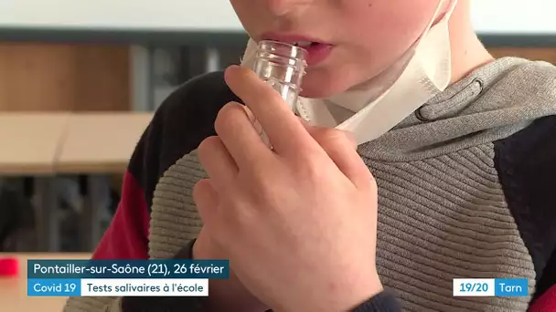 Tarn : bientôt des tests salivaires dans les écoles pour dépister la Covid-19