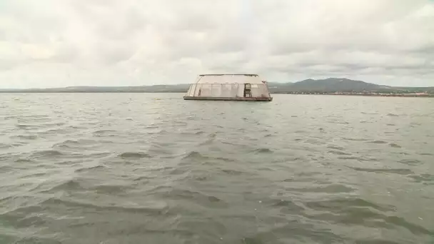 Ad'Oc : la tortue maraîchère, une serre flottante pour cultiver des légumes en mer