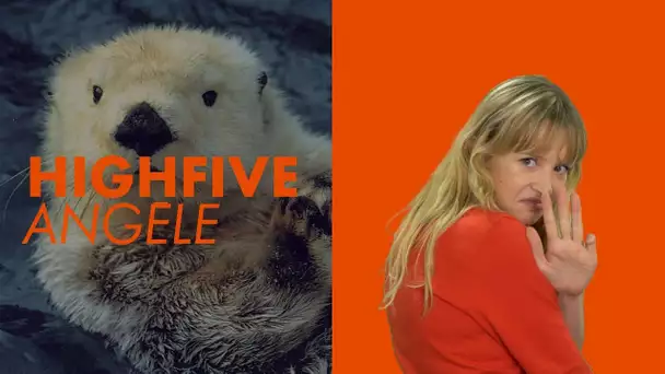 High Five : la chanteuse Angèle en 5 infos